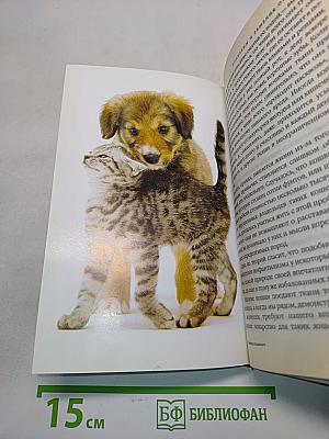 Перевод с кошачьего. Научите вас разговаривать с вашей кошкой