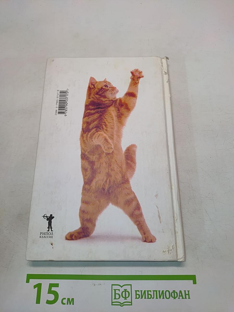 Перевод с кошачьего. Научите вас разговаривать с вашей кошкой