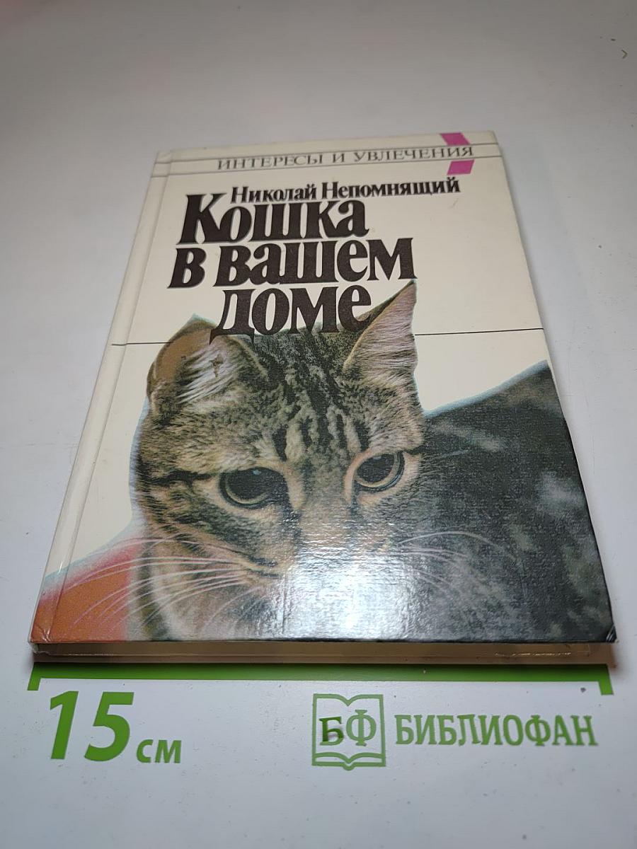 Кошка в вашем доме