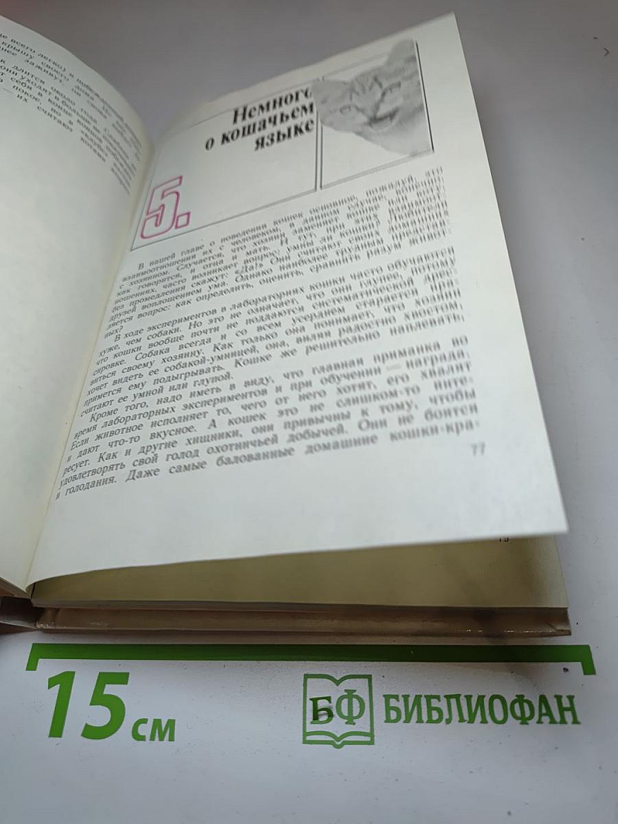 Кошка в вашем доме