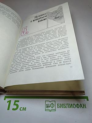 Кошка в вашем доме