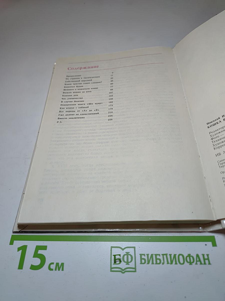 Кошка в вашем доме