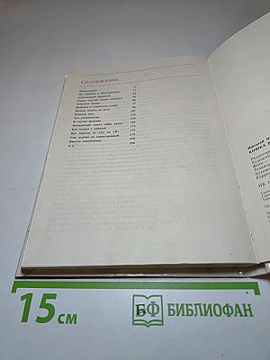 Кошка в вашем доме