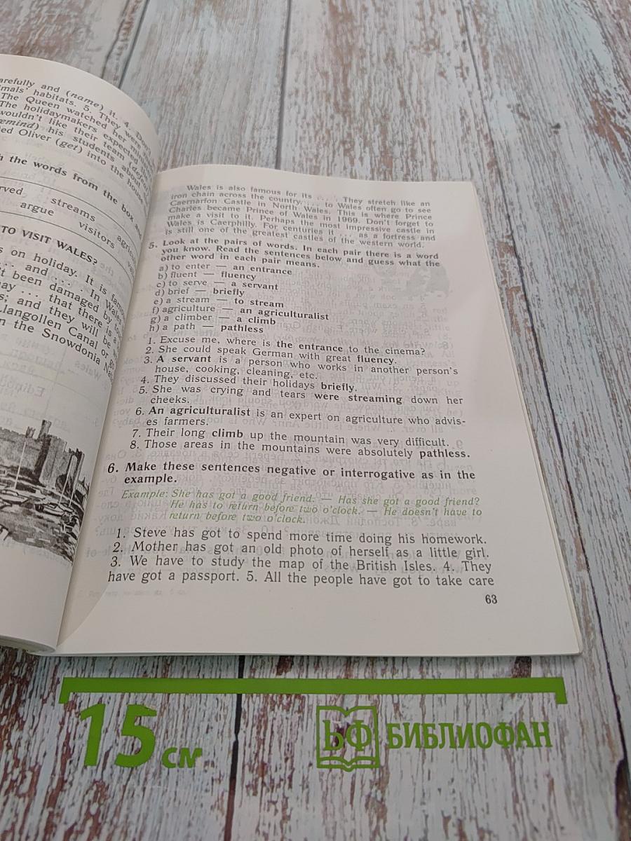 English Activity Book. Рабочая тетрадь к учебнику английского языка для VI класса