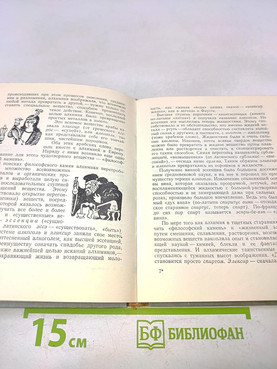 В мире слов