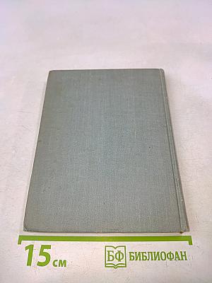 В мире слов