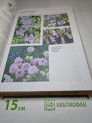 Азбука цветовода