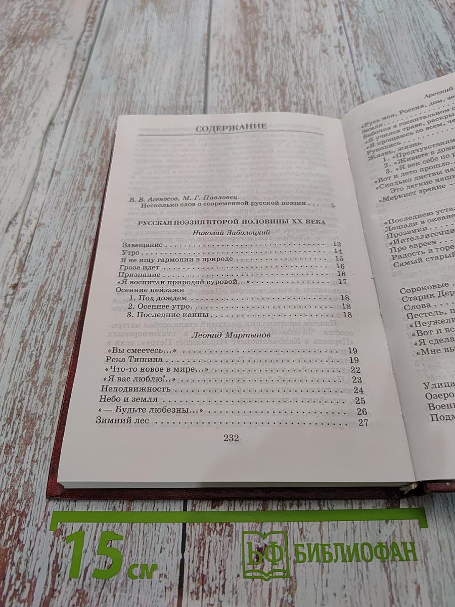 Русская поэзия второй половины XX века