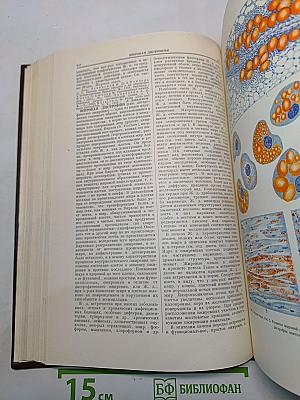 Большая медицинская энциклопедия. Том 10. Желудочно-ишемическая болезнь