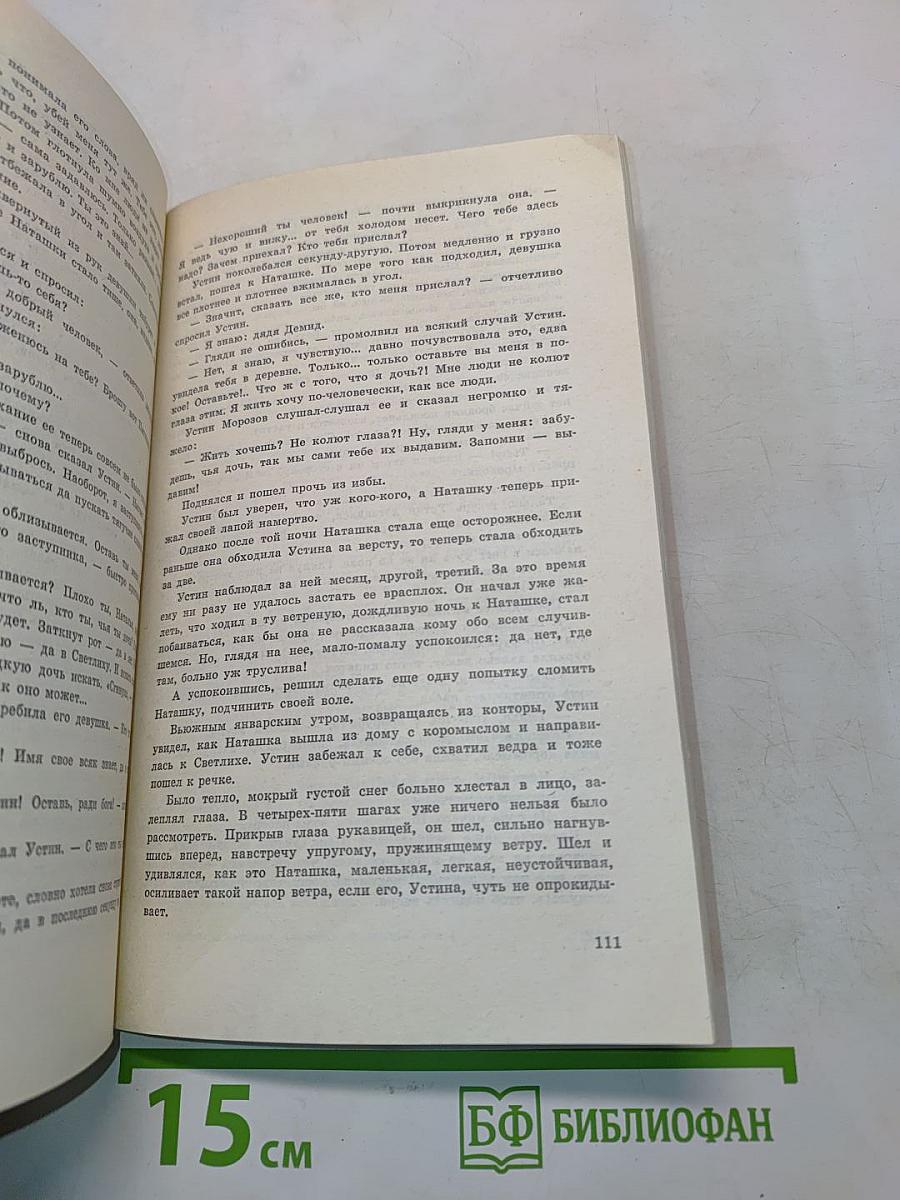 Тени исчезают в полдень. Роман. Книга II