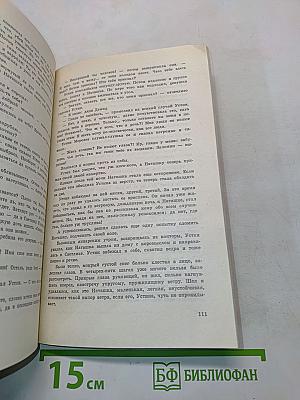 Тени исчезают в полдень. Роман. Книга II