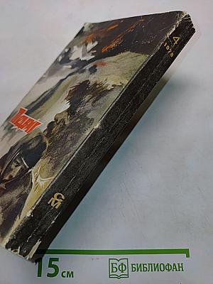 Тени исчезают в полдень. Роман. Книга II