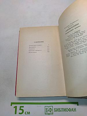 Сергей Есенин. Литературная хроника. Часть 2
