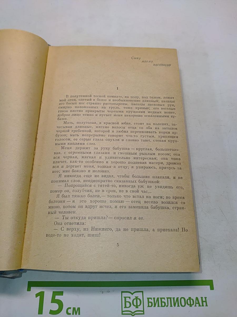 Детство в людях. Мои университеты