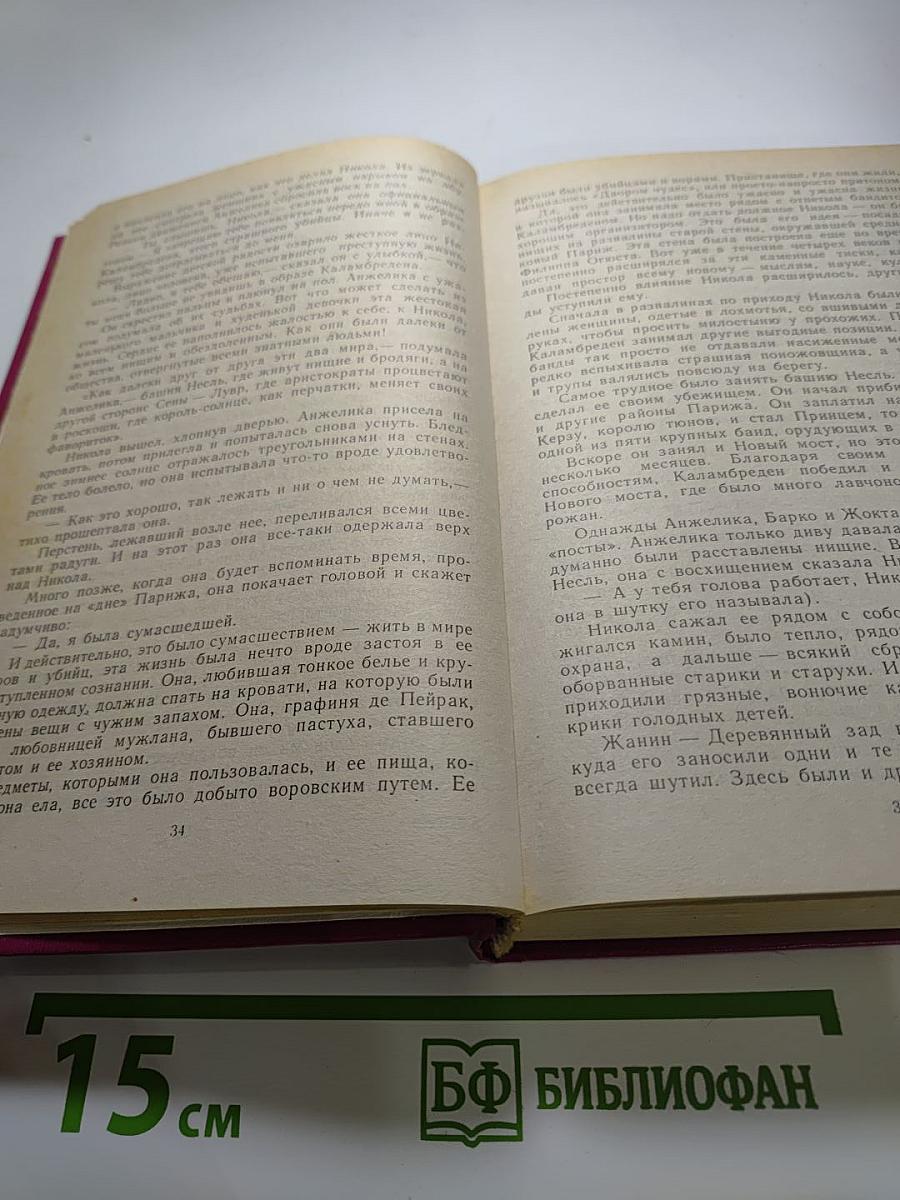 Путь в Версаль. Анжелика и король