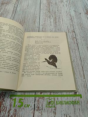 Птицы мира