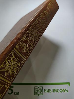 Разин Степан