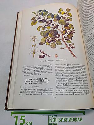 Лекарственные растения СССР и их применение