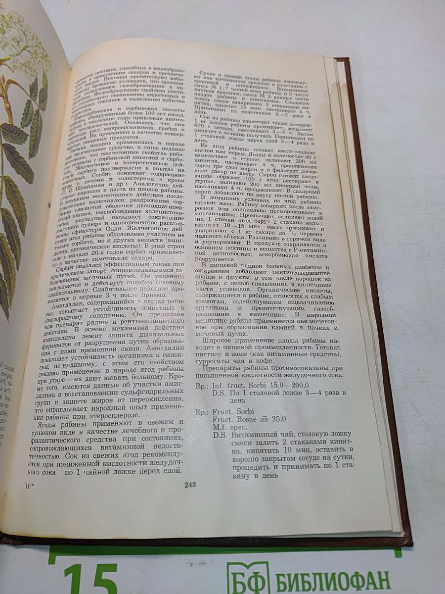 Лекарственные растения СССР и их применение