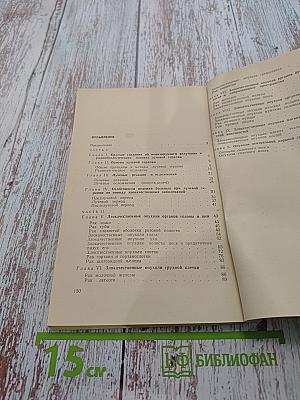 Ведение больных при лучевой терапии