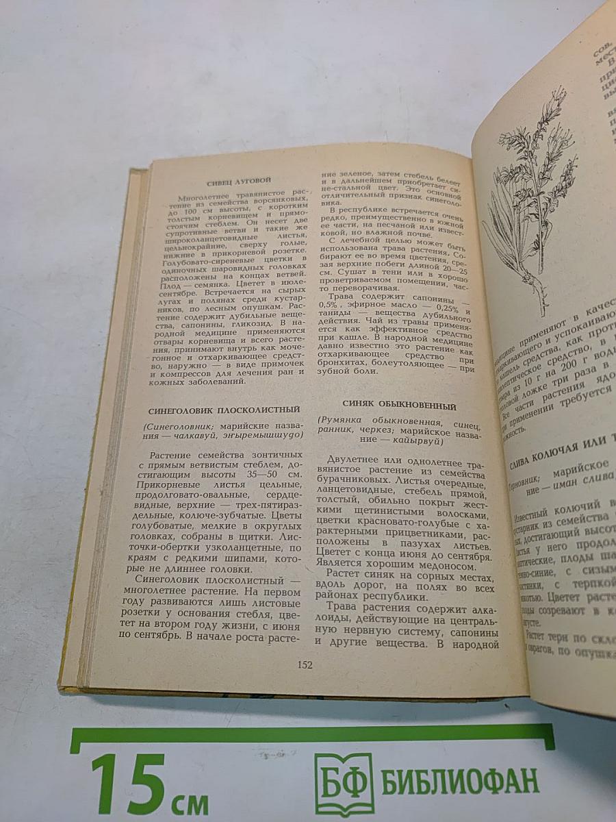 Лекарственные растения Марийской АССР