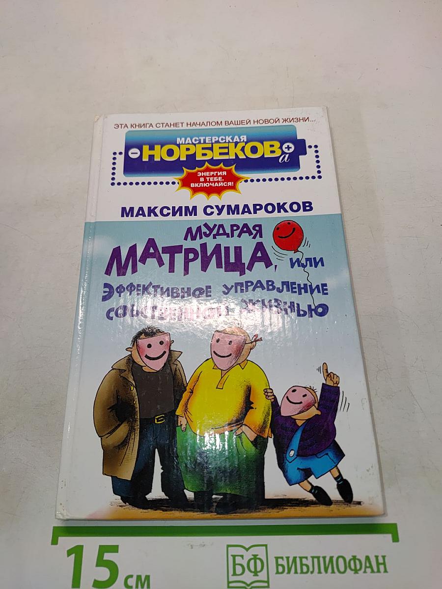 Мудрая матрица, или Эффективное управление собственной жизнью