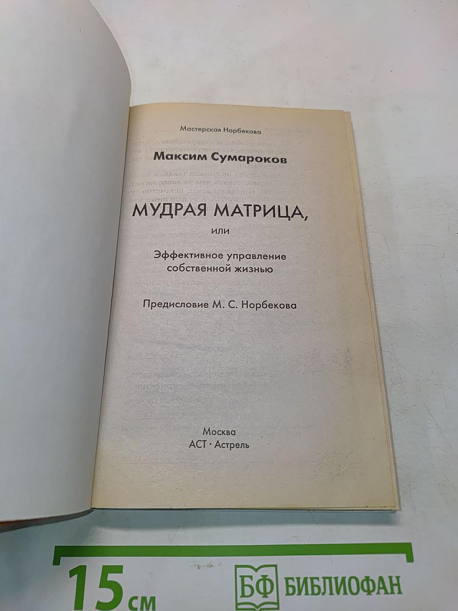 Мудрая матрица, или Эффективное управление собственной жизнью