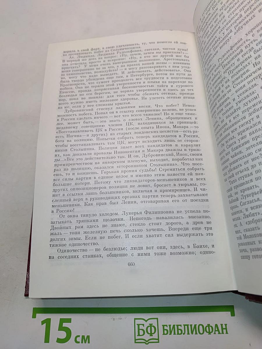 А ты гори, звезда. Роман. Дополнительный