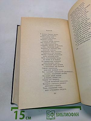 Стихотворения и поэмы. Том 1