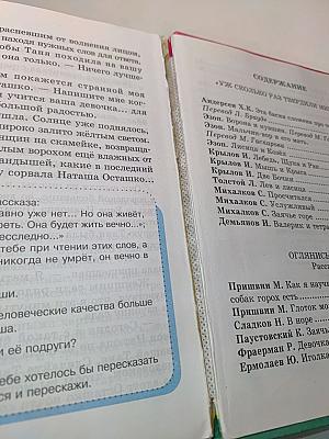 Литературное чтение. Любимые страницы. Учебник для 4 класса общеобразовательных учреждений. В четырёх частях. Часть 2