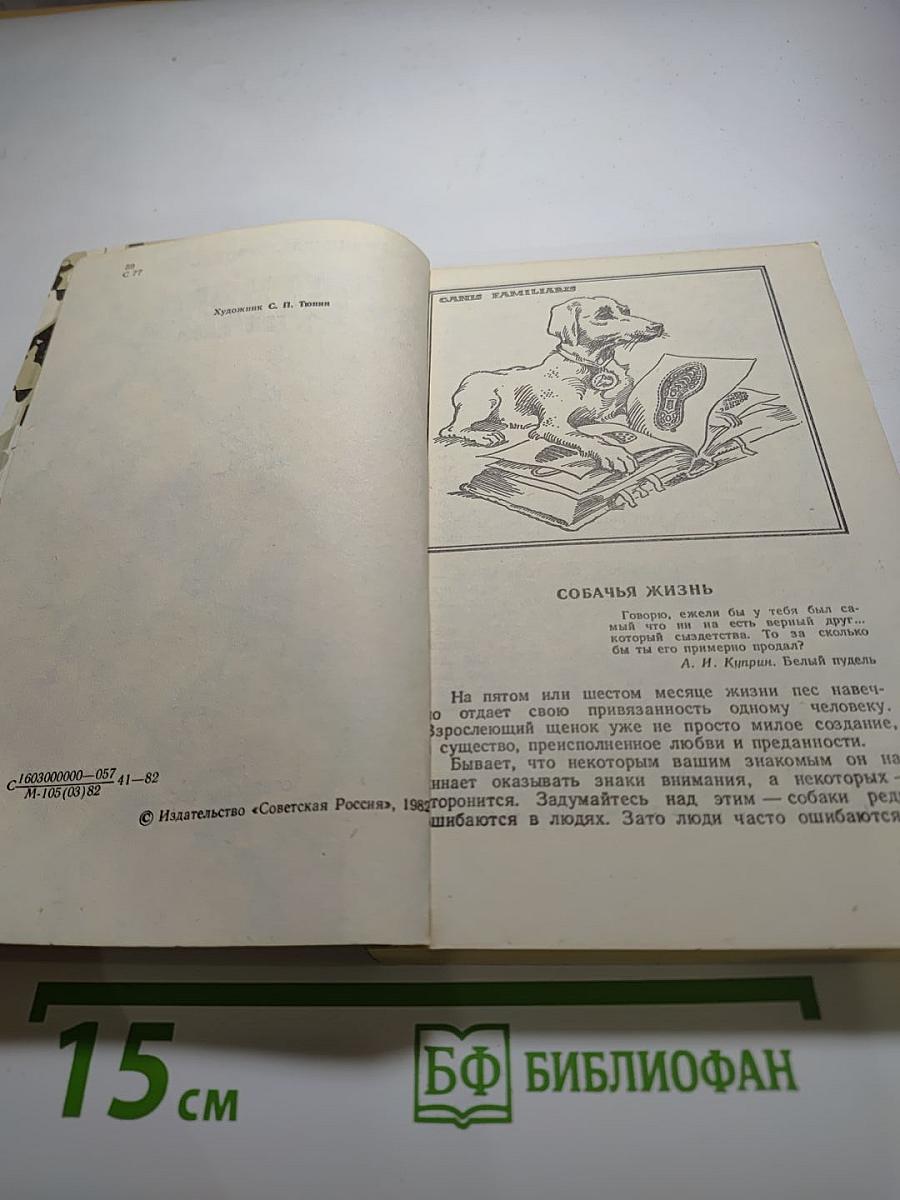 Зверинец у крыльца