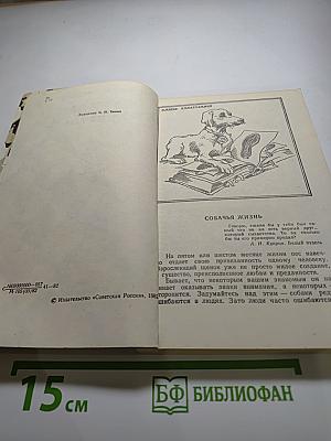 Зверинец у крыльца