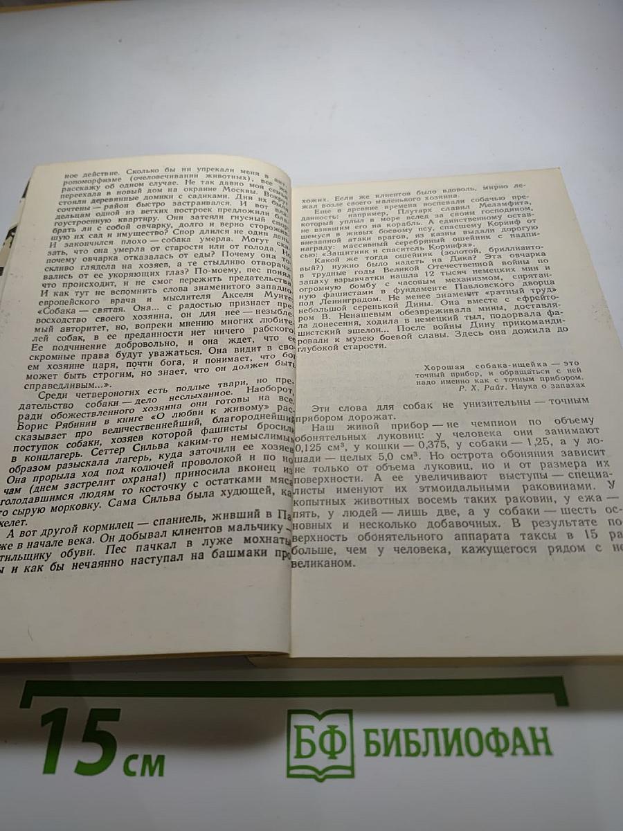 Зверинец у крыльца