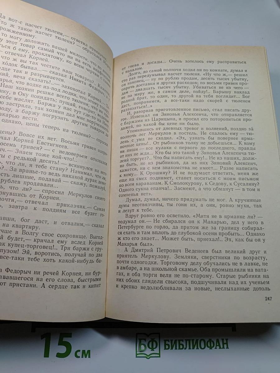 На горах. Книга первая