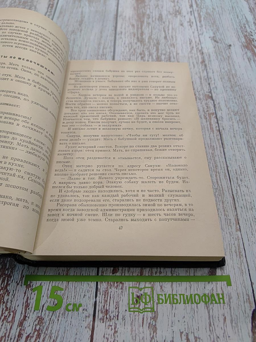 Собрание сочинений. Том второй. Очерки, повести, публицистика, письма, дневники