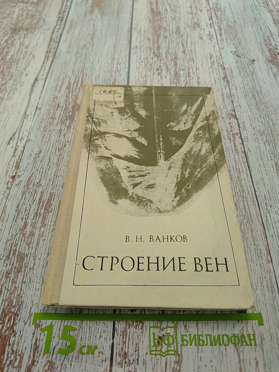 Строение вен