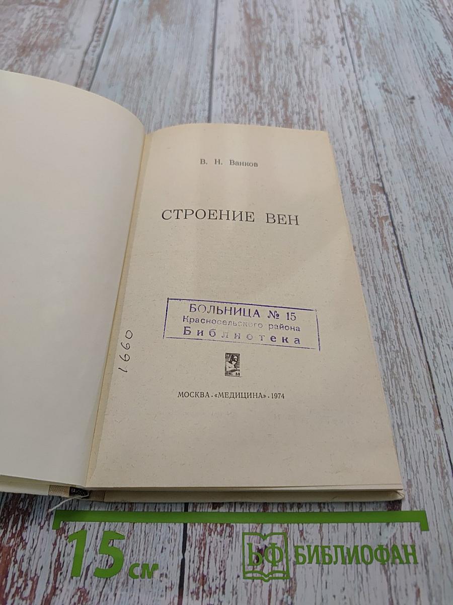 Строение вен