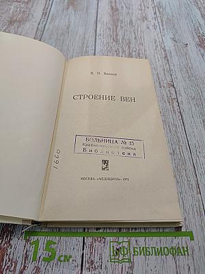 Строение вен
