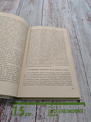 Строение вен