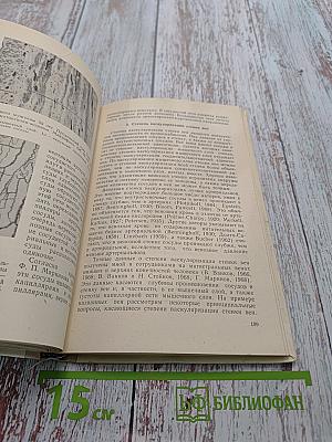Строение вен