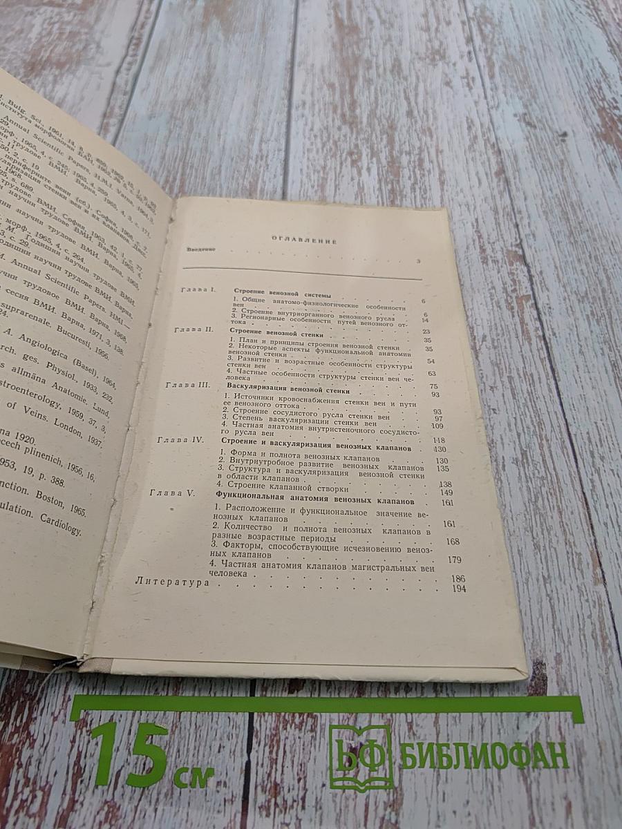 Строение вен