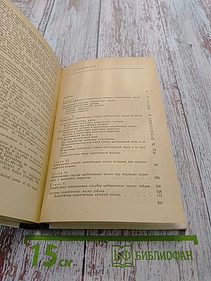 Сосуды надпочечных желез