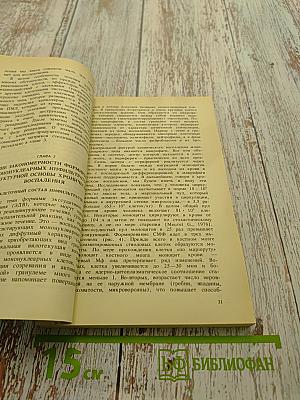 Хроническое воспаление