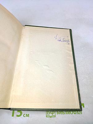 Сочинения в двух томах. Том второй. Пьесы. Киносценарии