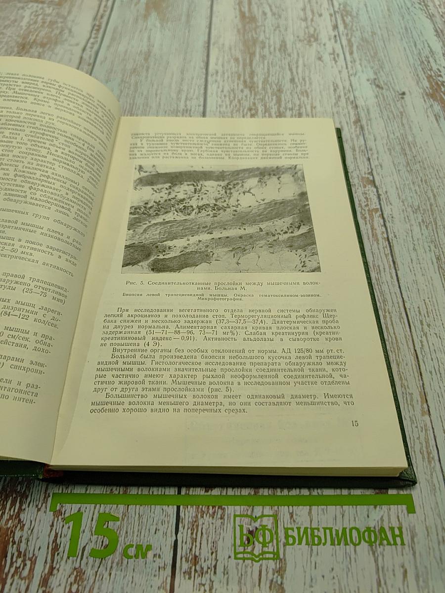 Очерки клинической неврологии. Выпуск I