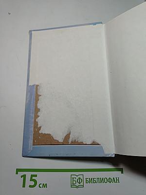 Селедка под норковой шубой