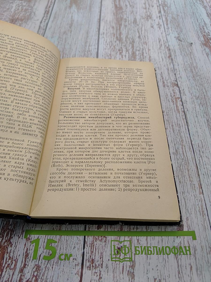 Микробиология туберкулеза