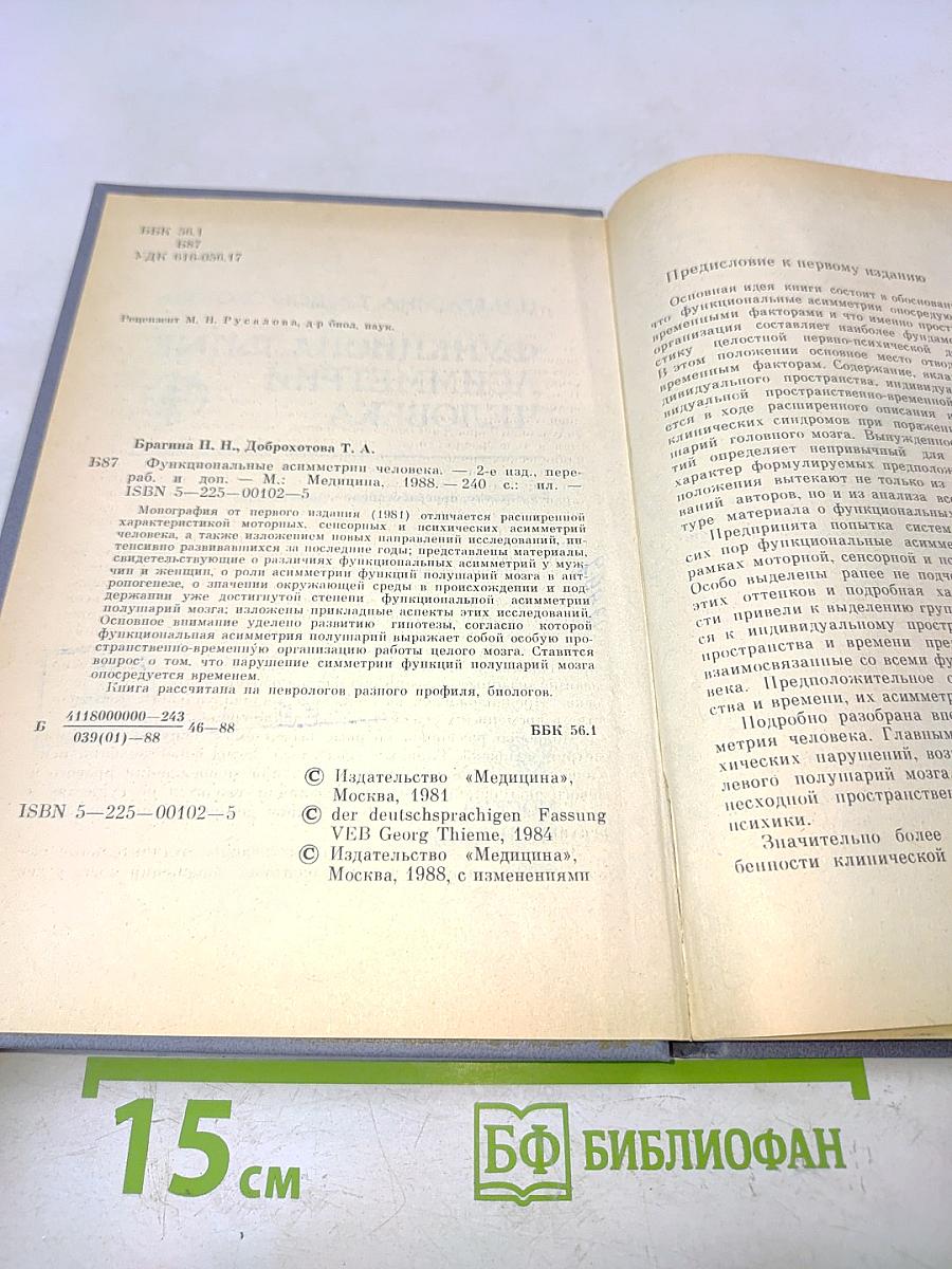 Функциональные асимметрии человека