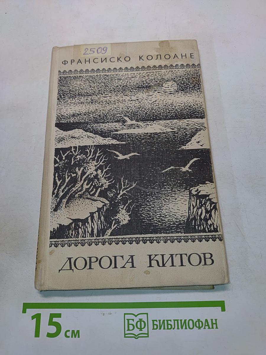 Дорога китов