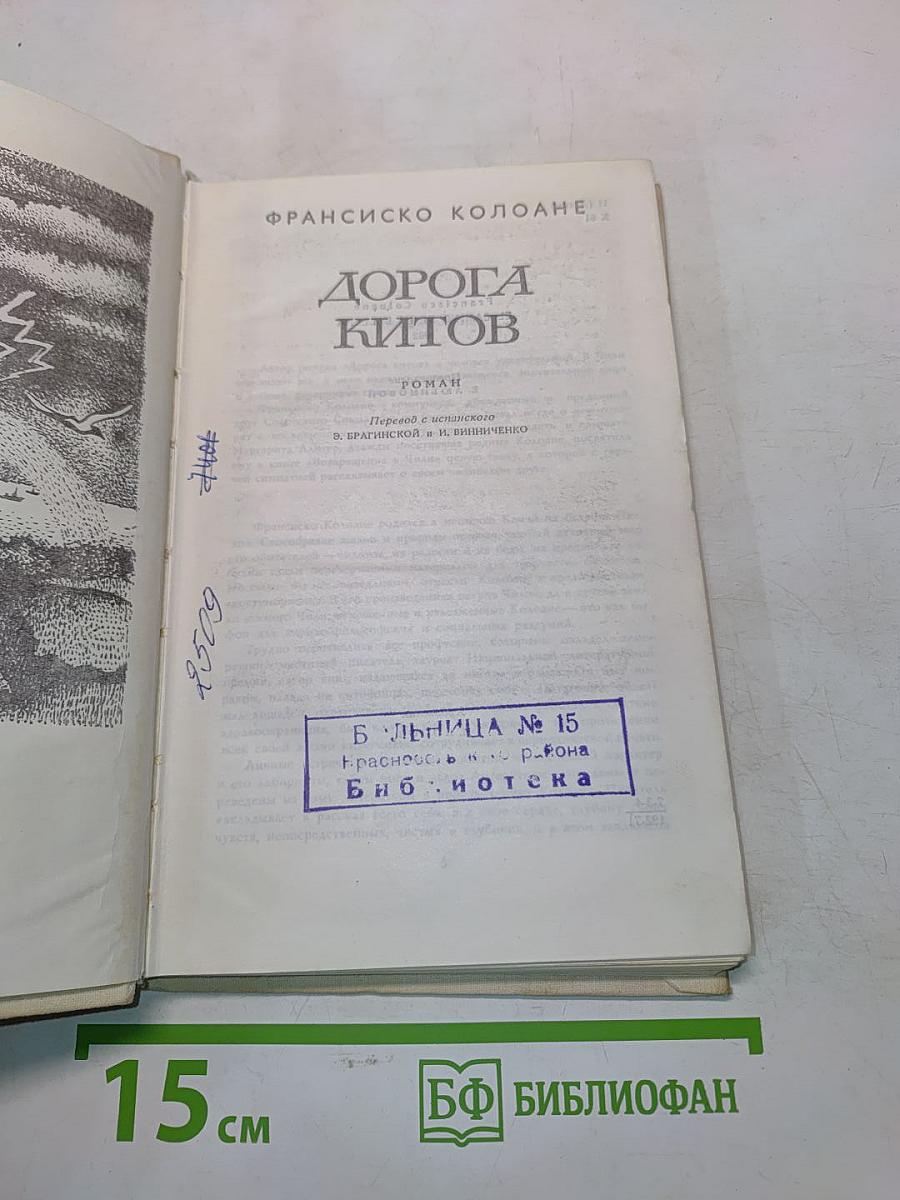 Дорога китов